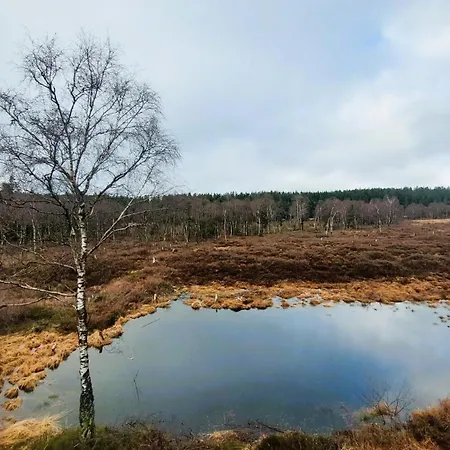 Fewo Silberborn - Weserbergland Holzminden Extérieur photo