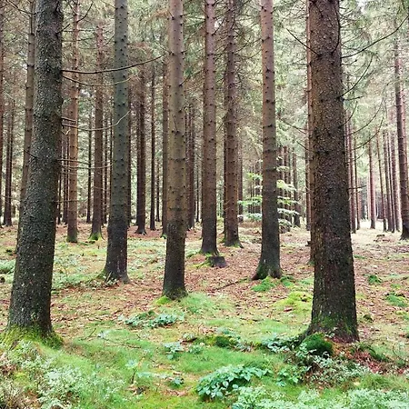 Fewo Silberborn - Weserbergland Holzminden Extérieur photo