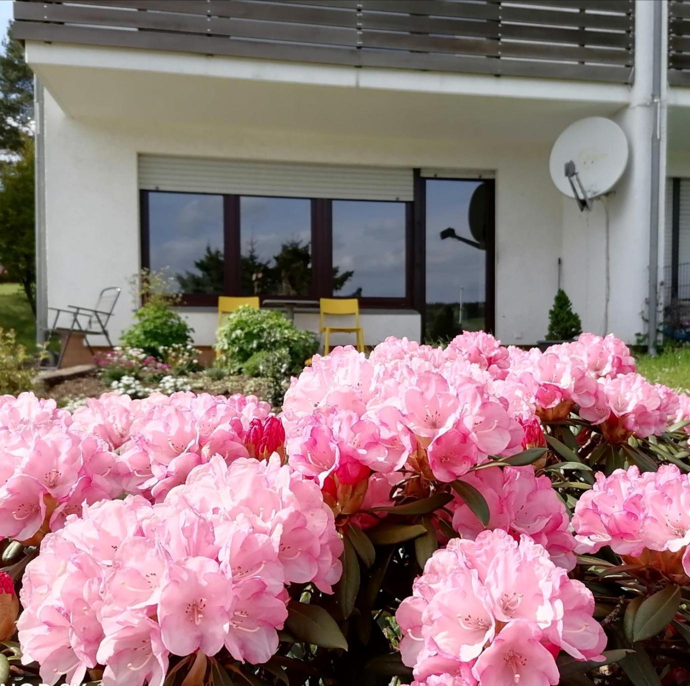 Apartment Silberborn - Weserbergland Holzminden