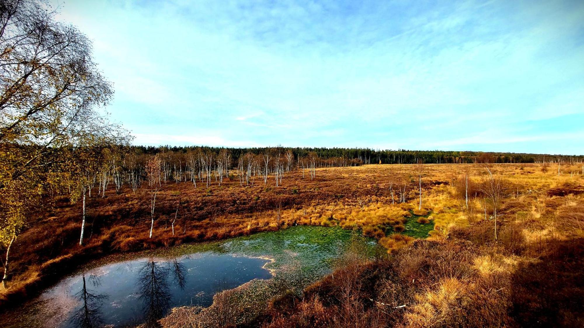 Silberborn - Weserbergland * Holzminden