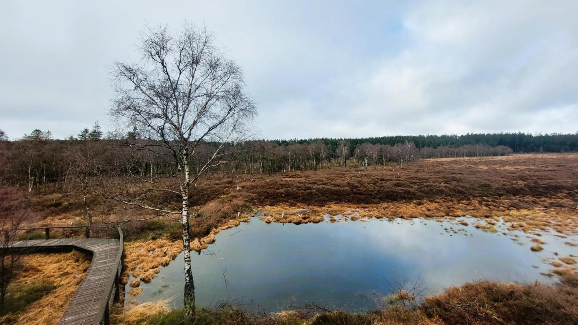 Silberborn - Weserbergland Appartamento Holzminden