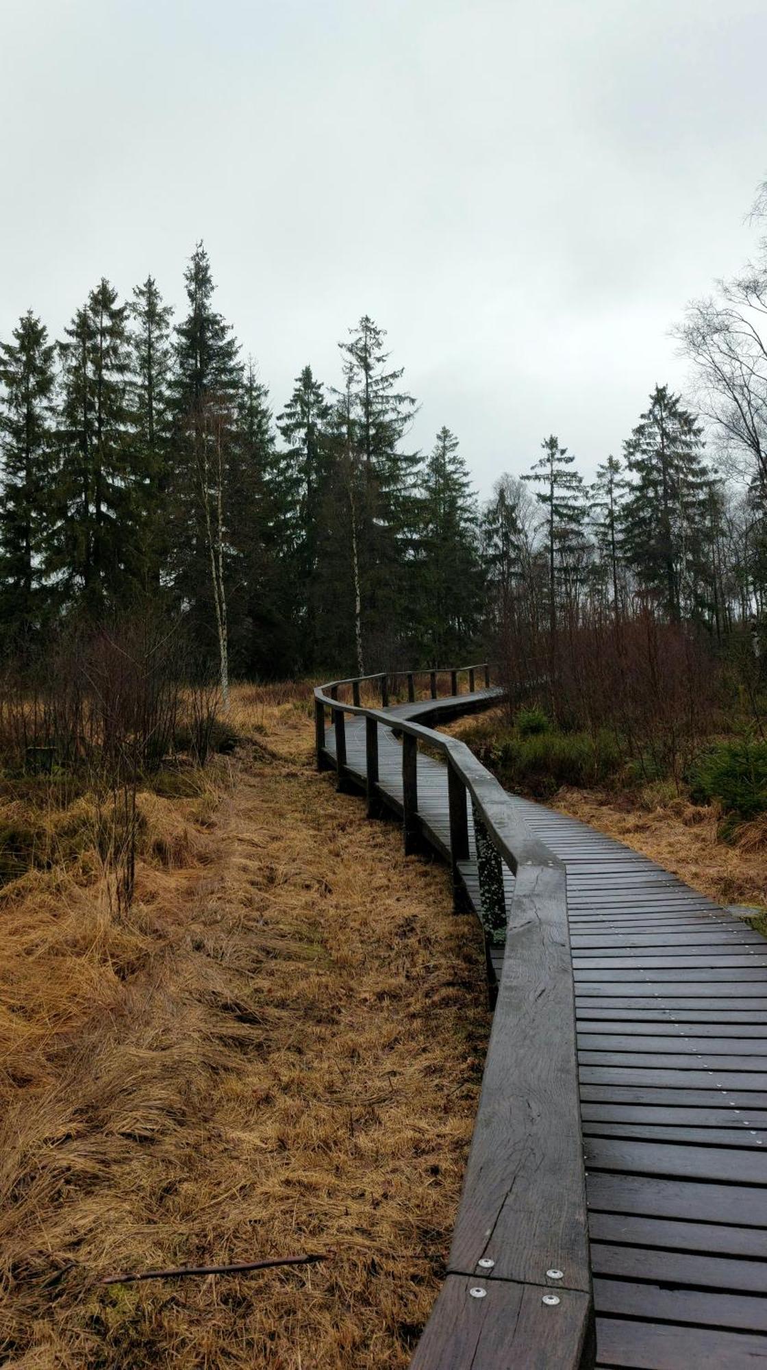 Silberborn - Weserbergland * Holzminden