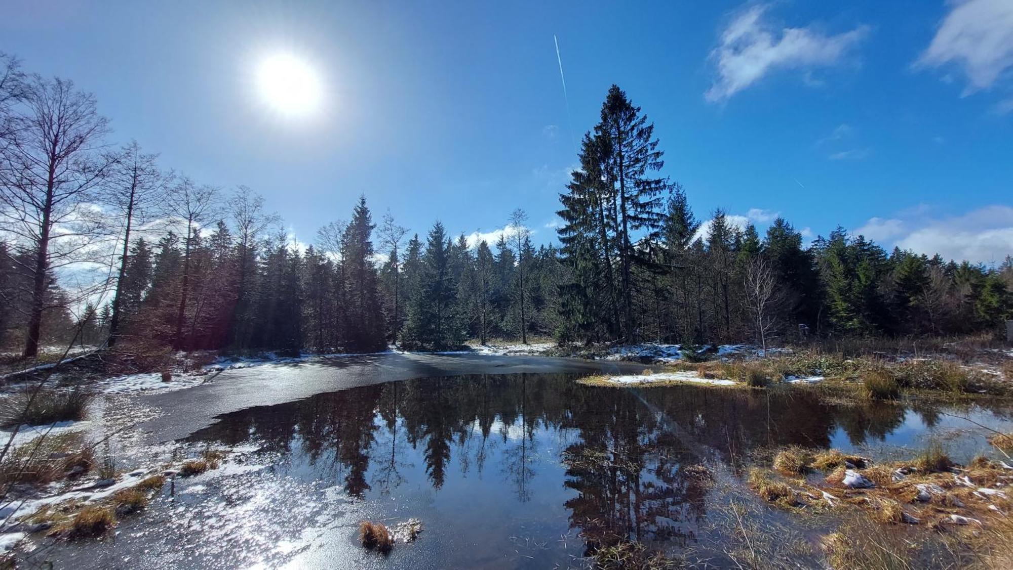 Silberborn - Weserbergland